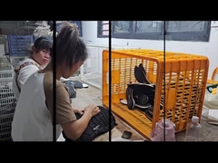 مصنع خدمة الأحذية حسب الطلب